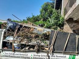 Professional Junk Removal Services in Baxter Village, SC